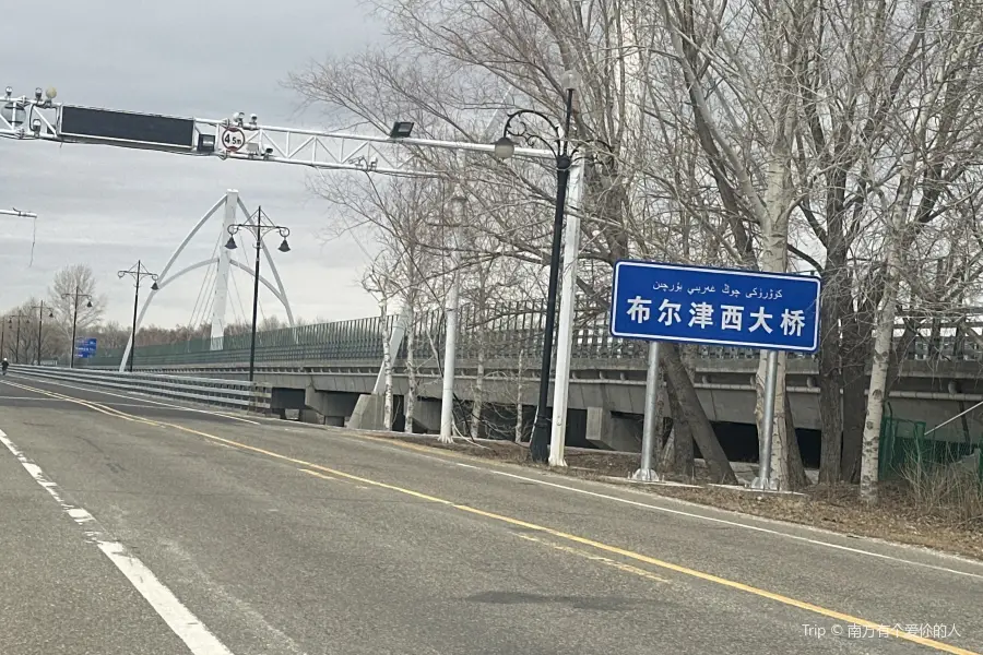 布林津西大橋