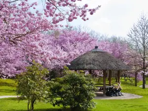 Japanese Garden