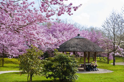 Japanese Garden