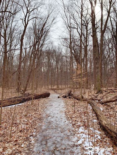 Rotary Park