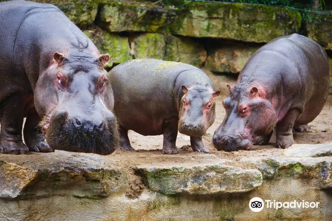 Zoo d'Amneville 주변 호텔