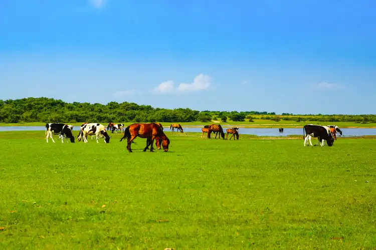 Hotel in zona Dorbod Passenger Transport Terminal