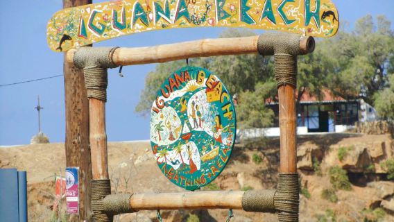 Iguana Beach