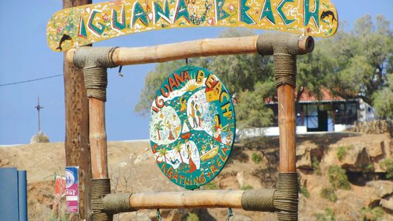 Iguana Beach