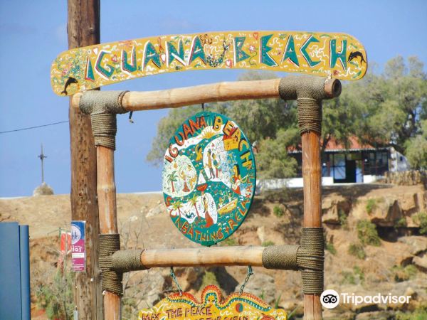 Iguana Beach
