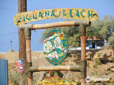 Iguana Beach