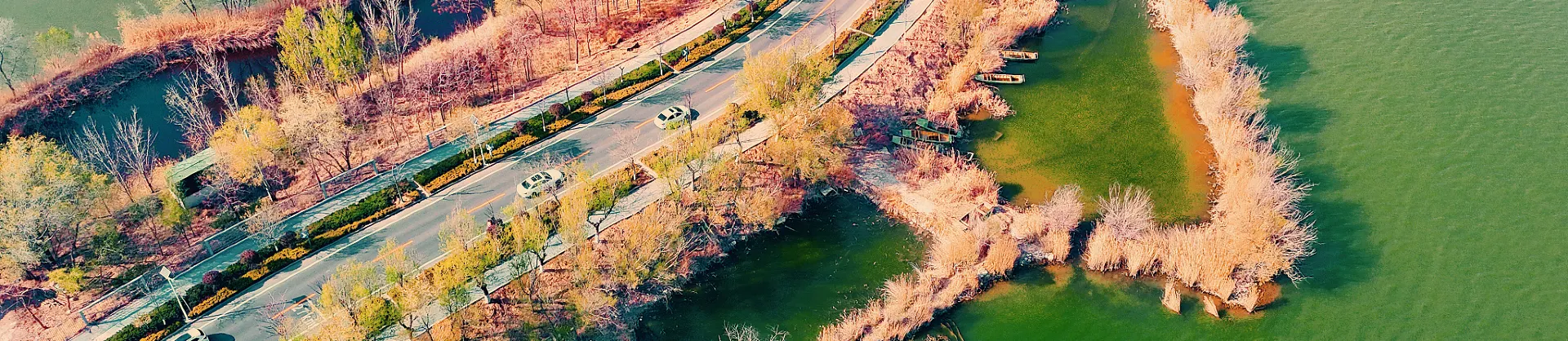 Attrazioni per la visione autunnale