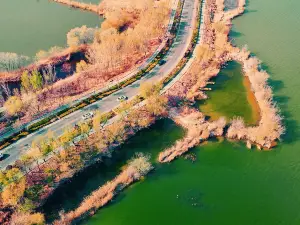 Popular Fall Viewing Attractions in Hengshui