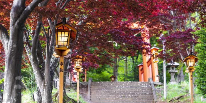 Arakurayama Sengen Park