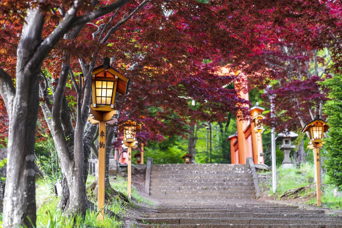 新宿去富士山 | 新倉山淺間公園