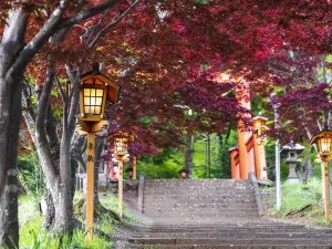 Arakurayama Sengen Park