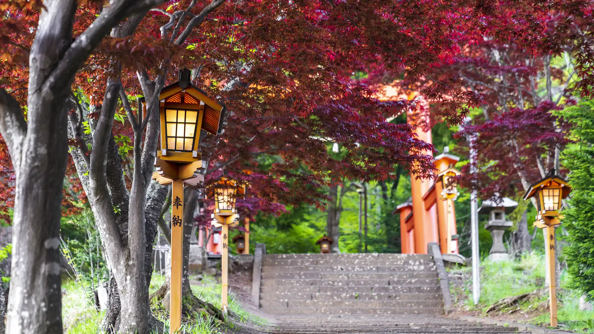 新倉山浅間公園周辺のホテル