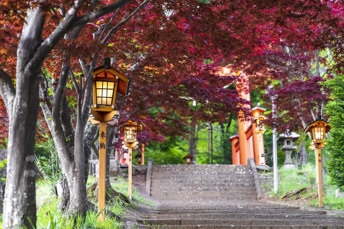 Hotels near Arakurayama Sengen Park