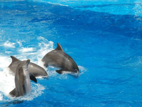 Best hotels near Camping World Stadium