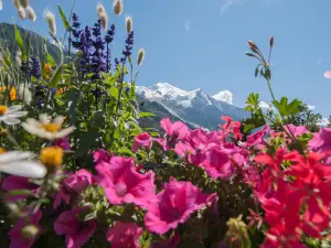 ยอดเขามงบล็อง