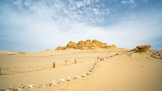 Wadi Hitan National Park