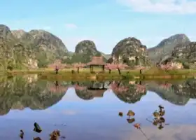 san sheng san shi shi li tao hua pai she dian