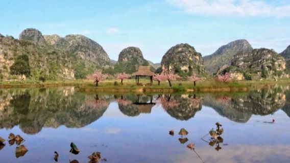 san sheng san shi shi li tao hua pai she dian