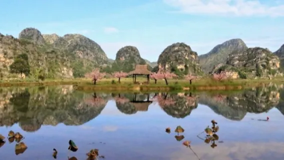 san sheng san shi shi li tao hua pai she dian