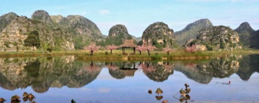 san sheng san shi shi li tao hua pai she dian