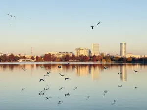 King Mihai I Park