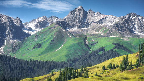 Qiaxi Grassland Tourist Scenic Spot