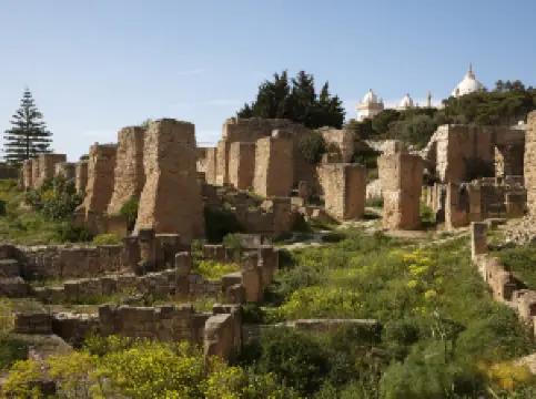 Punic Quarter of Byrsa
