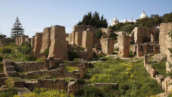 Punic Quarter of Byrsa