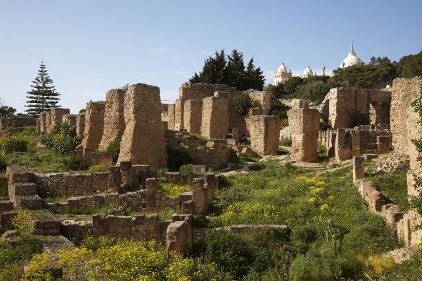 Punic Quarter of Byrsa