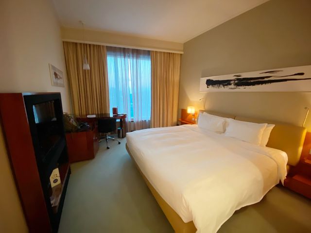 大澳虎山睇海豚，東涌staycation