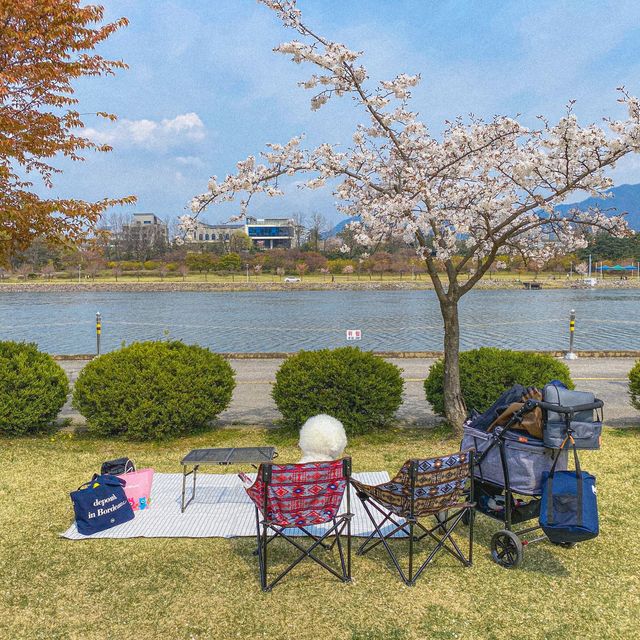 서울근교 숨은핫플 미사 경정공원