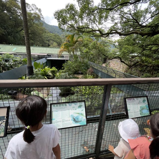 Kadoorie Farm