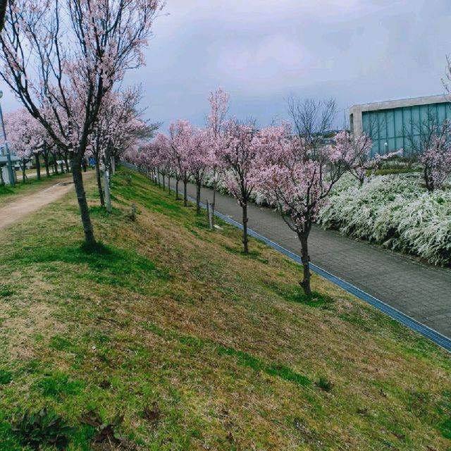 Sayamaeki museum