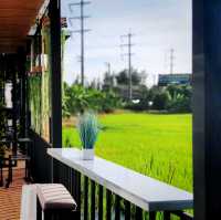 คาเฟ่วิวทุ่งนา