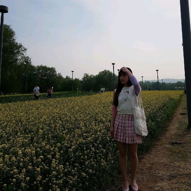 세빛섬 반포한강공원 밤도깨비야시장
