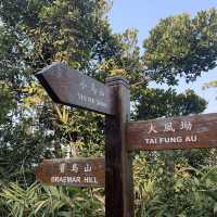 新手合家歡行山路線 遠眺港島東及九龍東景