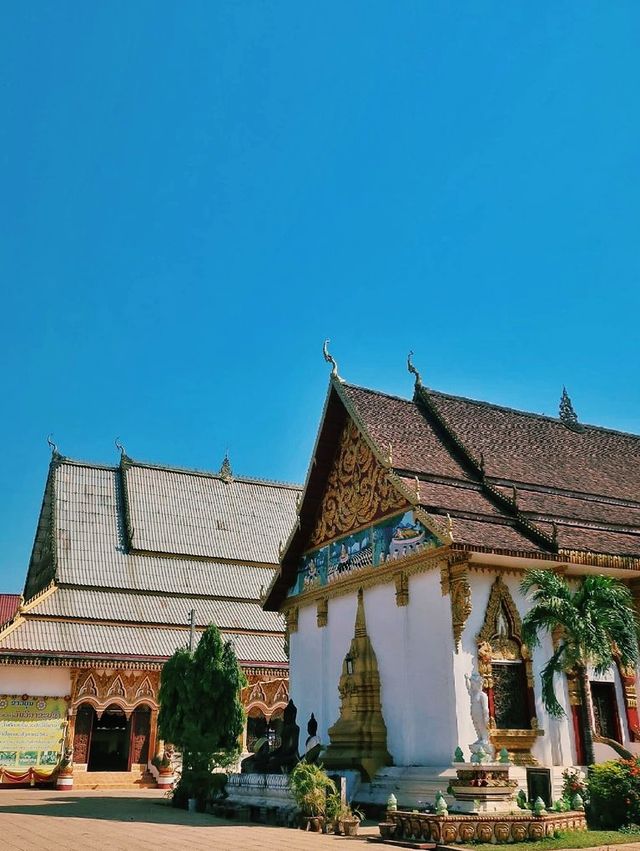 Admiring the Wat Luang