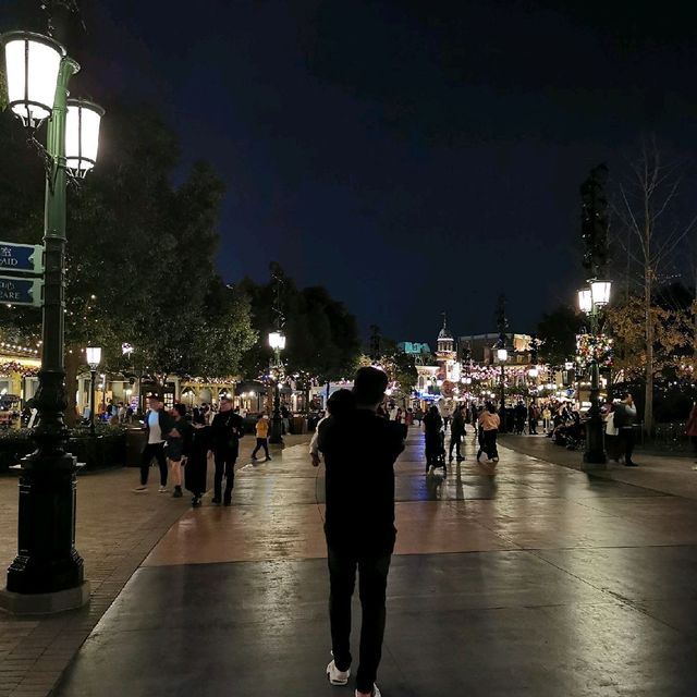 Night with Elegance 