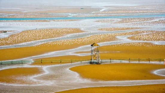 Beidaihe Wetland Park