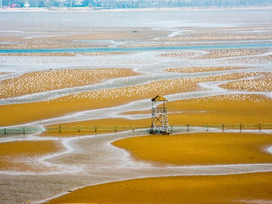 Beidaihe Wetland Park