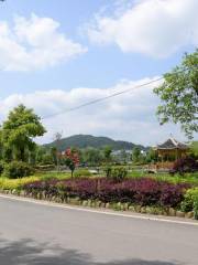 Podong Ecology Farm