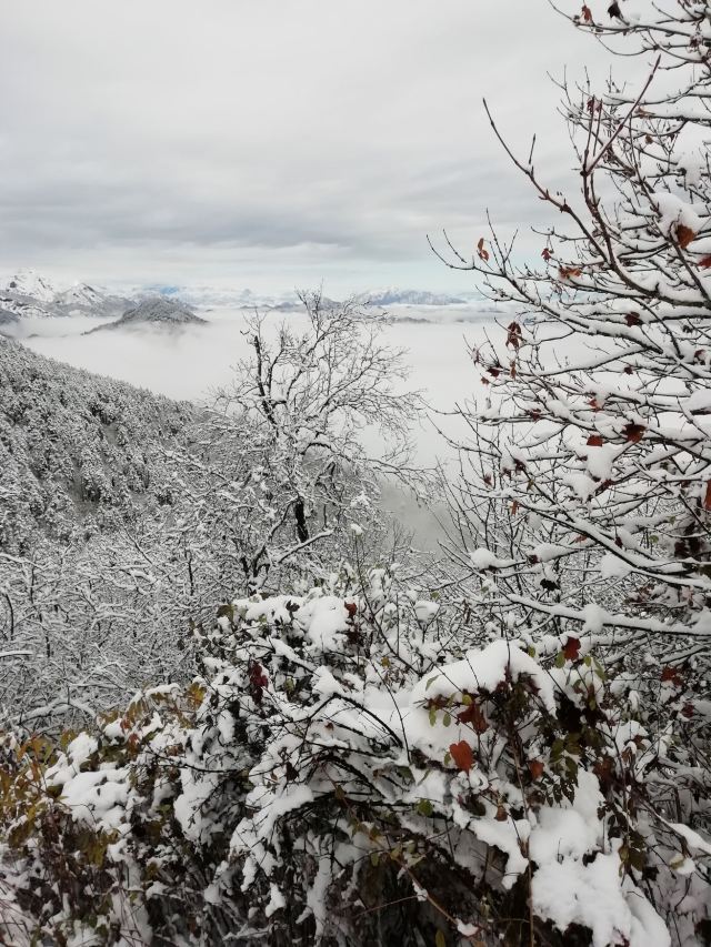 西嶺雪山