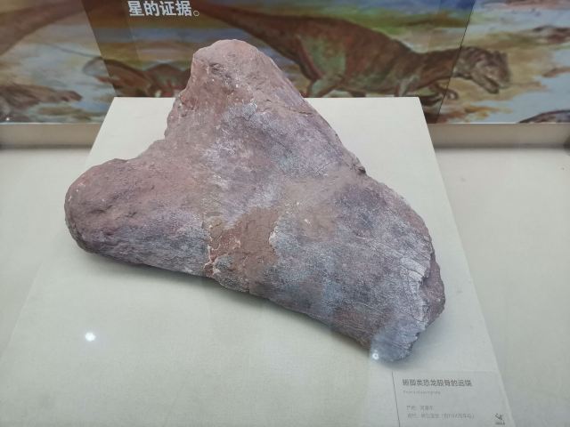 Heyuan City Museum (Heyuan Dinosaur Museum)