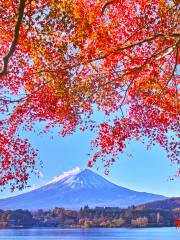 Lake Kawaguchi Kitahara Museum Happy Days