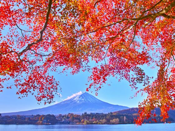 Lake Kawaguchi Kitahara Museum Happy Days