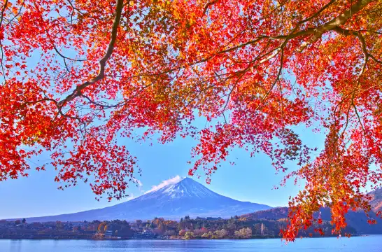 Hotel in zona Lake Kawaguchi Kitahara Museum Happy Days