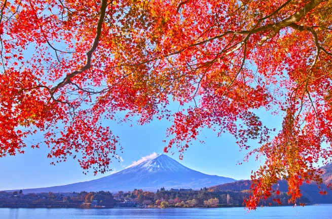 富士河口湖のバーのあるホテル
