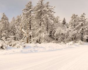 香港-妙高市 機票酒店 自由行