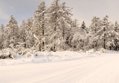 Myoko