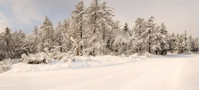 妙高温泉周辺のホテル